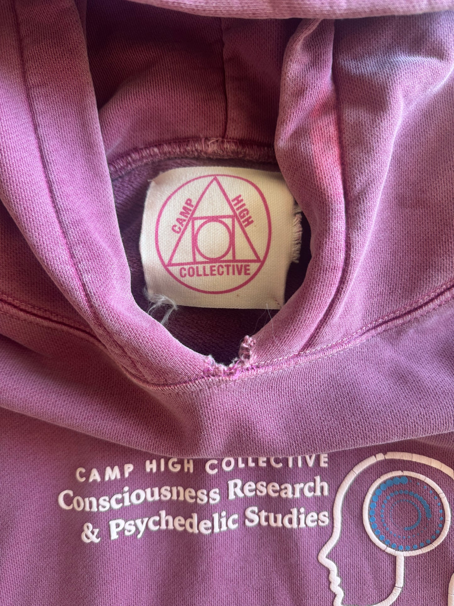 Camp High Research & Psychedelic Studies Hoodie Berry