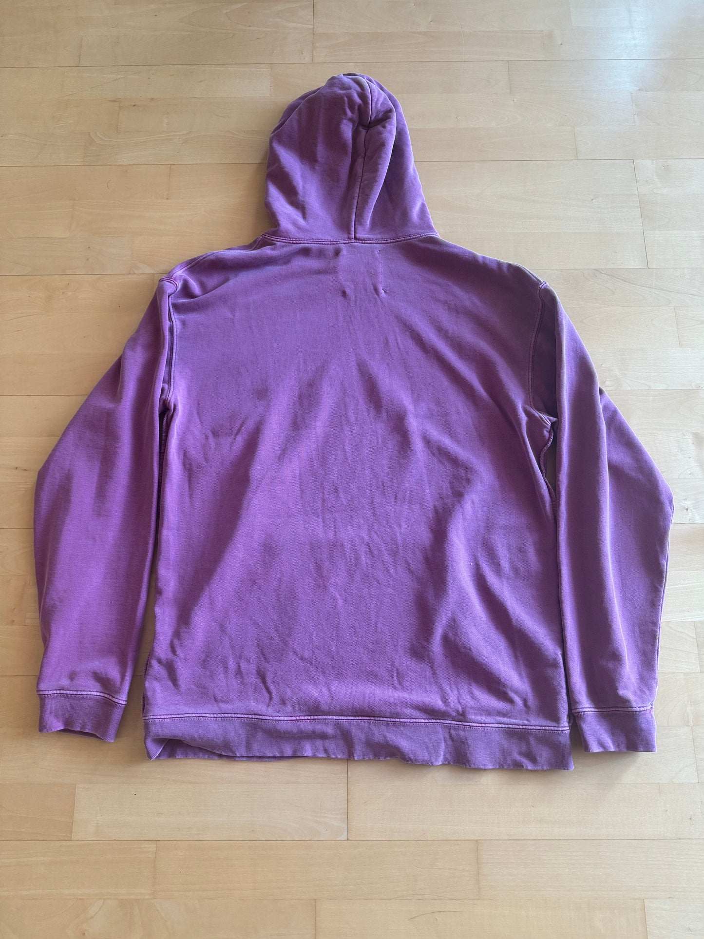 Camp High Research & Psychedelic Studies Hoodie Berry